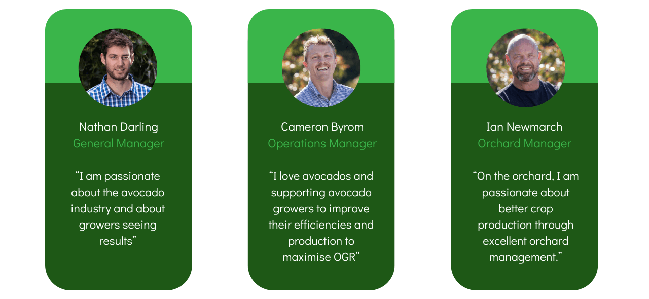 Avoworks staff - website