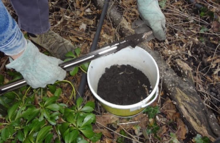Soil test