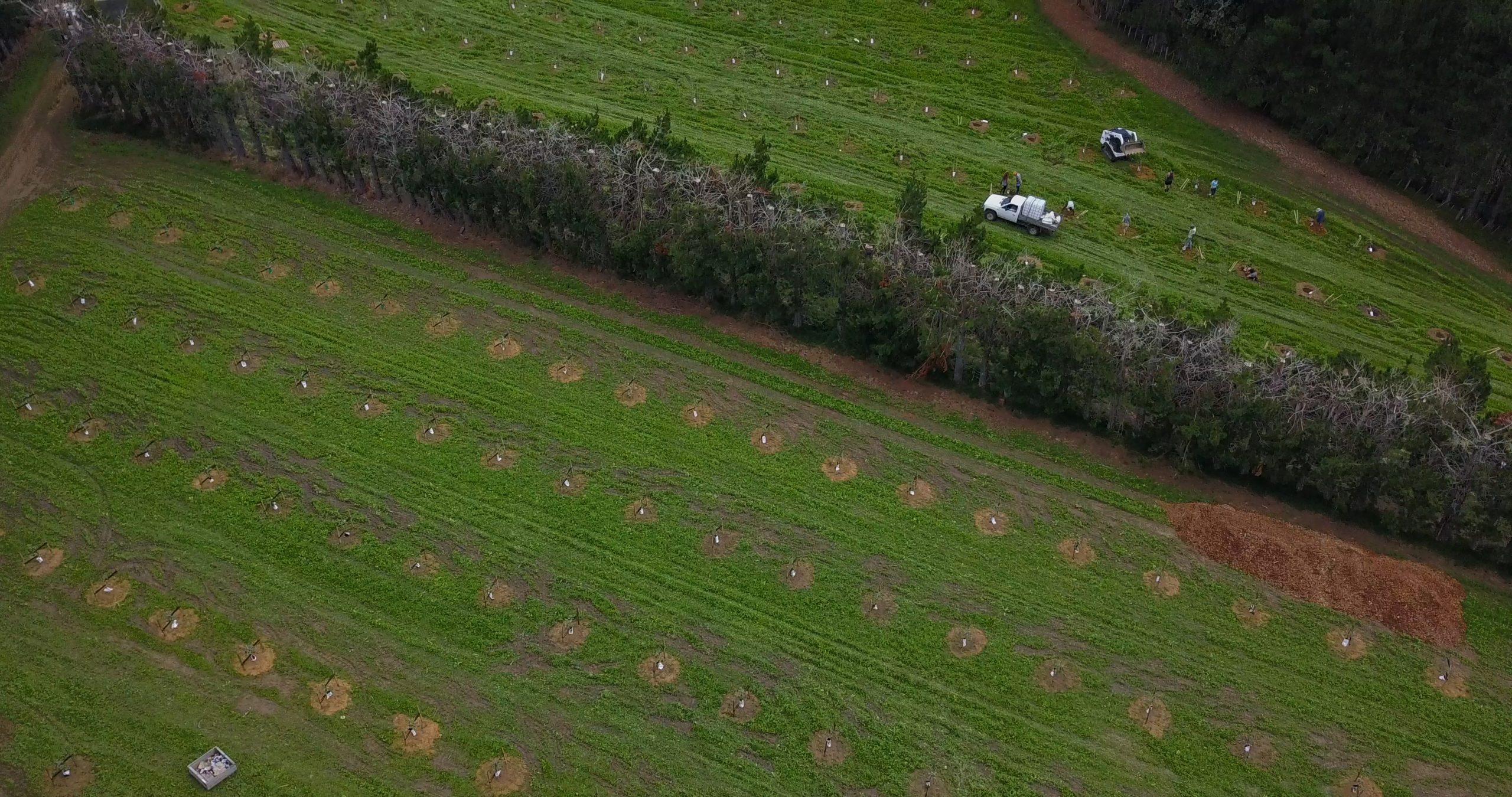 planting_overhead2