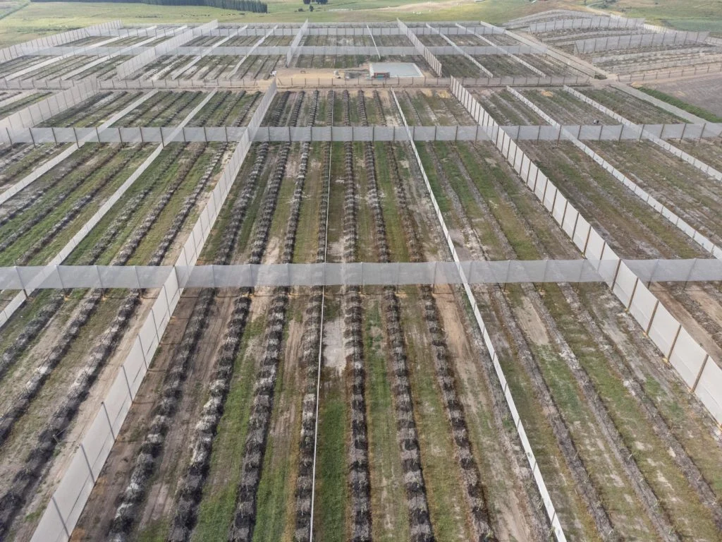 Case Study: Sandstone - Far North